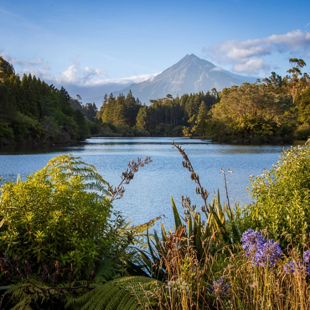 Taranaki-1_thumb.webp