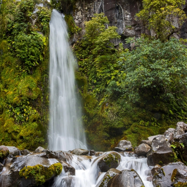 Taranaki-7_thumb.webp